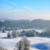 Отель Landgasthaus Mittelallgäu, фото 26