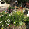 Отель Beaver Lake Heavenly Hideaway B&B, фото 1