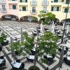 Отель Studio at Funchal 500 m away from the beach with terrace and wifi, фото 11