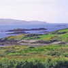 Отель Old Barn Cottage Heir Island by Trident Holiday Homes, фото 3