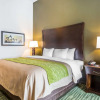 Отель Comfort Inn & Suites, фото 6