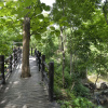 Отель Bago Yoma Eco Resort, фото 20