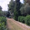 Отель Villa With one Bedroom in Siracusa, With Enclosed Garden - 7 km From t, фото 11