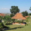 Отель Villa 78 Dago, фото 17