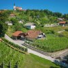 Отель Vineyard Cottage Hočevar With Sauna, фото 14