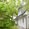 Отель Ferienhaus mit Garten in Zingst, фото 22