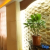 Отель Xing Yue Hotel (Dongguan Changping Baihua Times Plaza), фото 10
