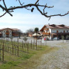 Отель Agriturismo Famiglia Bertossi, фото 8
