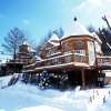 Отель Elf Resort Hotel, фото 1