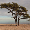 Отель Åhus Seaside, фото 22
