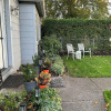 Отель Kalmia Cottage, фото 21