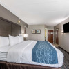 Отель Comfort Inn Chicago Schaumburg - O'Hare Airport, фото 5