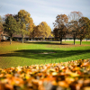 Отель Skanderborg Park, фото 1