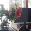 Отель Palmita Hotel Hostel, фото 18