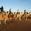 Отель Bihi Desert Camp, фото 10