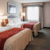 Отель Comfort Inn Indianapolis South I-65, фото 6