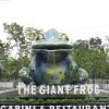 Отель The Giant Frog - Cabins & Restaurant, фото 1