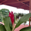 Отель Natural Pacific Suites, фото 9