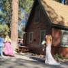 Отель Golden Bear Cottages, фото 32