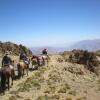 Отель Hacienda Los Andes, фото 14