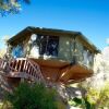 Отель Treehouse Hot Springs 5 Br Home, фото 4