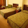 Отель Antik Garden Hotel - All Inclusive, фото 3