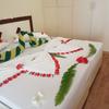 Отель Fulidhoo La Perla Guest House, фото 1