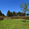 Отель Absolute Detached Holiday House at the Edge of the Forest, фото 16