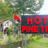 Отель Pine Track, фото 1