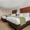Отель Comfort Inn, фото 6