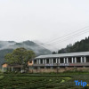 Отель Wuyishan Buwenshanju (National Park No. 1 Scenic Road Branch), фото 21