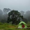 Отель Camping In Remote Coorg, фото 6
