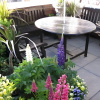 Отель Windsor House - Guest house, фото 7