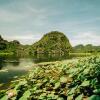 Отель Trang An Lotus Lake Homestay, фото 44