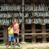 Отель Mama Tia Family Homestay, фото 1