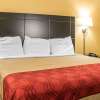 Отель Econo Lodge Columbus, фото 3