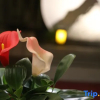 Отель Wuyi Mountain Tea Yueshan Residence, фото 9