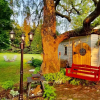 Отель Weeping Willow House, фото 36