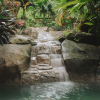 Отель Chachagua Rainforest Hotel & Hot Springs, фото 34