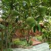 Отель Thanh Dat Homestay, фото 12