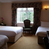 Отель Twin Trees Hotel, фото 3