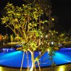 Отель Kinaara Resort & Spa, фото 13