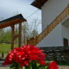 Отель Casa Papițu, фото 16