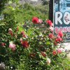 Отель Rose Pension, фото 12