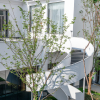 Отель Argyle Resort Dongjianghu, фото 13