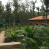 Отель Coorg Nest Cottages, фото 26