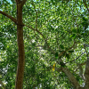 Отель Ecohabs Bosques del Tayrona, фото 19