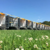 Отель StayLets Village & Caboose Town - CF23, фото 6