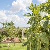 Отель Azienda Agricola Spirdo, фото 17