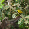 Отель Bahía Yubarta, фото 21